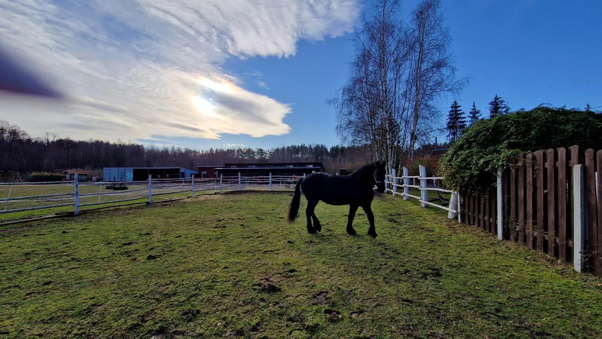 Rancho Colorado Villa Trzciel Екстериор снимка